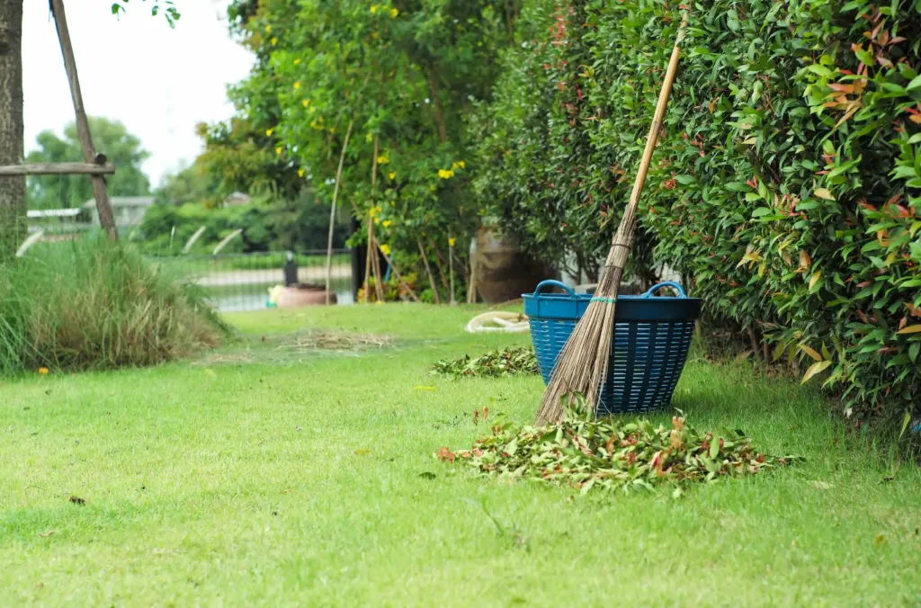 Поддръжка на двор преди продажба на къща